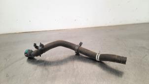 Used Radiator hose Ford Transit Courier 1.5 EcoBlue Price on request offered by Autohandel Didier