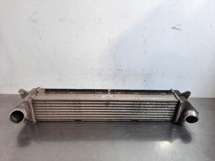 Intercooler Hyundai i30 (PDEB5/PDEBB/PDEBD/PDEBE), 2016 1.0 T-GDI 12V, Hatchback, Petrol, 998cc, 88kW (120pk), FWD, G3LC, 2016-11, PDEB5P1 (Used)