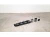 BMW 2 serie Active Tourer (F45) 216d 1.5 TwinPower Turbo 12V Set of tailgate gas struts