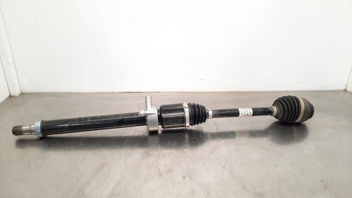d123b919-3d75-4e33-abcb-
