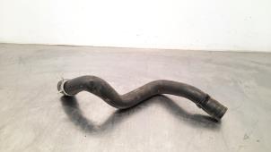 Used Radiator hose Ford Transit Connect (PJ2) 1.5 EcoBlue Price € 36,30 Inclusive VAT offered by Autohandel Didier