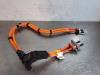 Wiring harness from a MG Marvel R, 2021 Luxury, Hatchback, 4-dr, Electric, 132kW (179pk), RWD, TZ204XS1155, 2022-01 2021