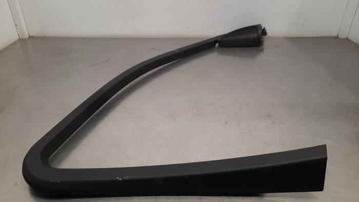 Door glass trim molding