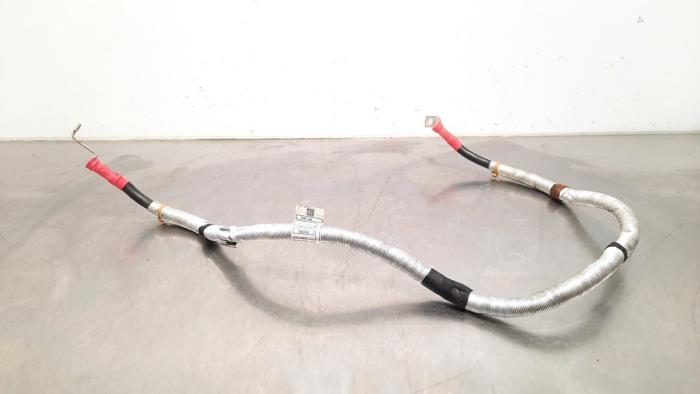 Cable (miscellaneous) from a BMW 5 serie Touring (G31) 530e xDrive 2.0 Turbo 16V 2022