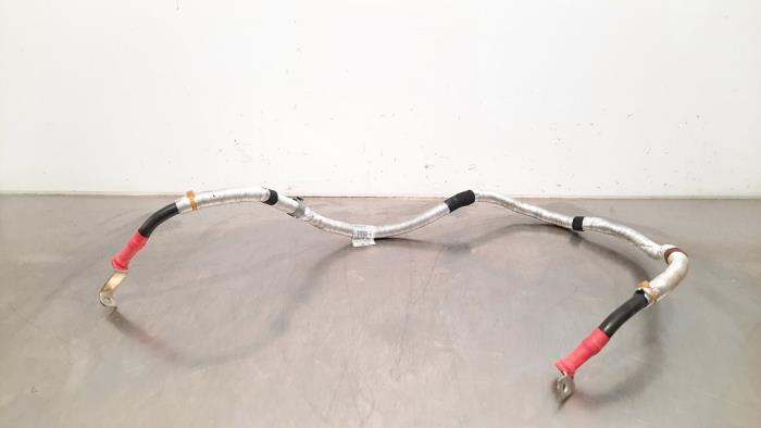 Cable (miscellaneous) from a BMW 5 serie Touring (G31) 530e xDrive 2.0 Turbo 16V 2022