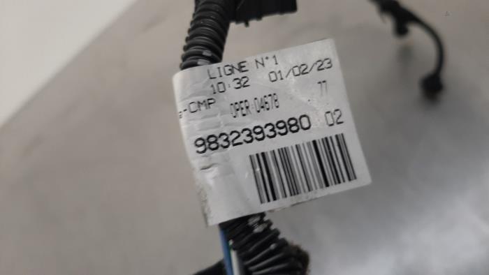 Cable (miscellaneous) Peugeot 208 II e-208 50 kWh - 9832393980