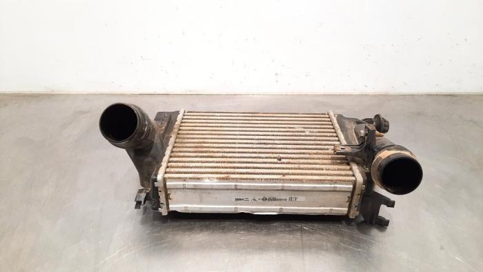 Usagé Intercooler Nissan Qashqai (J11) 1.6 dCi All Mode 4x4-i Prix € 102,85 Prix TTC proposé par Autohandel Didier