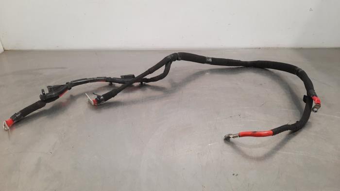 Używane Kabel (rózne) Renault Trafic (1FL/2FL/3FL/4FL) 2.0 dCi 16V 130 Cena € 36,30 Z VAT oferowane przez Autohandel Didier