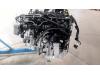Motor de un BMW X4 (G02), 2018 M40i 3.0 TwinPower Turbo 24V Mild Hybrid, SUV, Eléctrico Gasolina, 2.998cc, 265kW (360pk), 4x4, B58B30B, 2021-08, 41DT; 42DT 2023