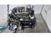Motor from a Volkswagen Tiguan (AD1) 2.0 TDI 16V BlueMotion Technology SCR 2019