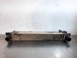 Used Intercooler Fiat Fiorino (225) 1.3 D 16V Multijet Price € 96,80 Inclusive VAT offered by Autohandel Didier