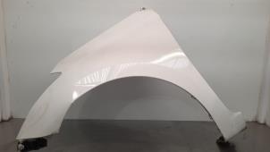 Used Front wing, left Hyundai i20 (GBB) 1.1 CRDi VGT 12V Price € 151,25 Inclusive VAT offered by Autohandel Didier