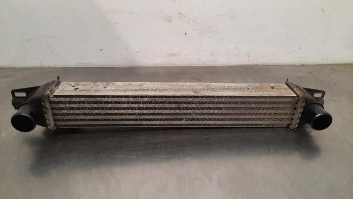 Usagé Intercooler Fiat Fiorino (225) 1.3 D 16V Multijet Prix € 60,50 Prix TTC proposé par Autohandel Didier