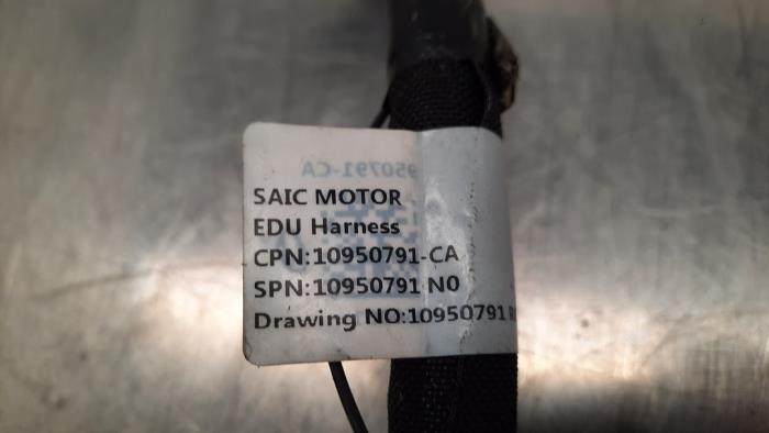 Cable (miscellaneous) from a MG Electric Standard 51 kWh 2023