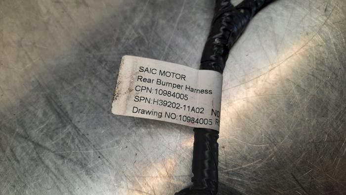 Pdc wiring harness from a MG Electric Standard 51 kWh 2023
