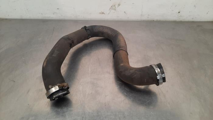 Gebrauchte Intercooler Schlauch Peugeot Traveller 1.5 BlueHDi 120 Preis € 24,20 Mit Mehrwertsteuer angeboten von Autohandel Didier