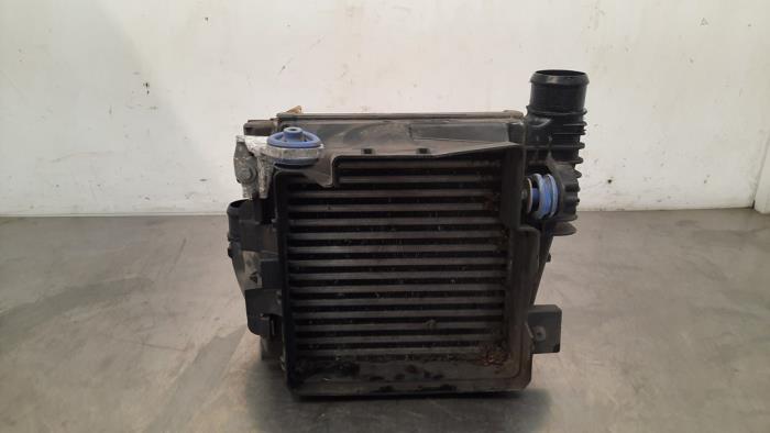 Peugeot 3008 II (M4/MC/MJ/MR) 1.6 BlueHDi 115 Ladeluftkühler Vorrat