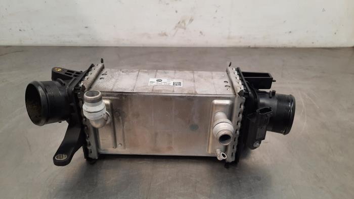 Used Intercooler Maserati Grecale 3.0 V6 Trofeo Q4 Price € 229,90 Inclusive VAT offered by Autohandel Didier