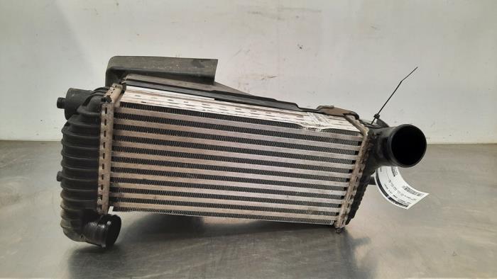 Usados Intercooler Ford Transit Connect (PJ2) 1.5 EcoBlue Precio € 60,50 IVA incluido ofrecido por Autohandel Didier