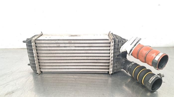 Usagé Intercooler Citroen C3 (SX/SW) 1.5 Blue HDi 100 16V Prix € 60,50 Prix TTC proposé par Autohandel Didier