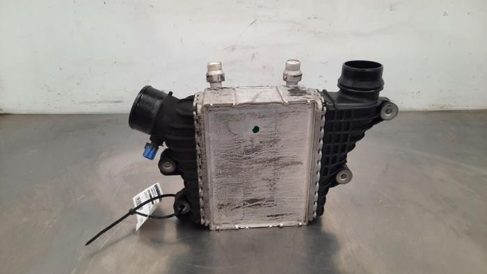 Usados Intercooler Landrover Range Rover Evoque II (LZC/LZS/LZH) 2.0 D200 MHEV 16V AWD Precio € 102,85 IVA incluido ofrecido por Autohandel Didier