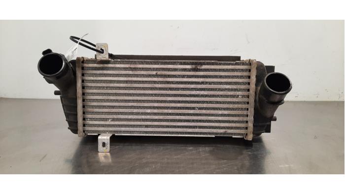 Usados Intercooler Hyundai Tucson (TL) 1.6 CRDi 16V 136 Precio € 266,20 IVA incluido ofrecido por Autohandel Didier