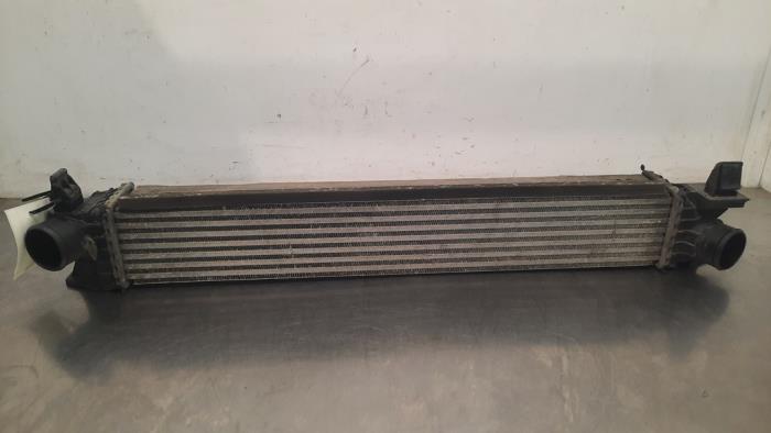 Usados Intercooler Fiat Ducato (250) 2.3 D 150 Multijet Precio € 133,10 IVA incluido ofrecido por Autohandel Didier