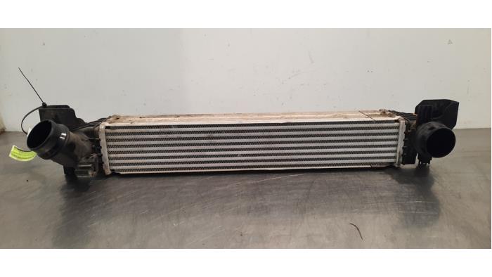 Usagé Intercooler Mini Countryman (F60) 1.5 TwinPower Turbo 12V Cooper SE ALL4 Prix € 199,65 Prix TTC proposé par Autohandel Didier