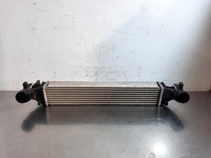 Usagé Intercooler Opel Astra K Sports Tourer 1.0 Turbo 12V Prix € 96,80 Prix TTC proposé par Autohandel Didier