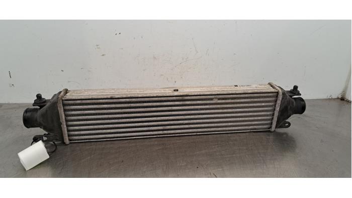 Usados Intercooler Fiat Doblo Cargo (263) 1.3 D Multijet Precio € 96,80 IVA incluido ofrecido por Autohandel Didier