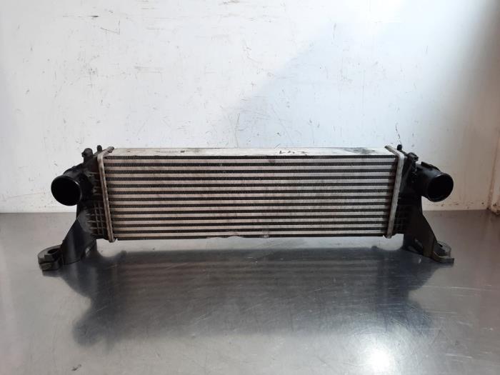 Usados Intercooler Iveco New Daily VI 33S16, 35C16, 35S16 Precio € 96,80 IVA incluido ofrecido por Autohandel Didier
