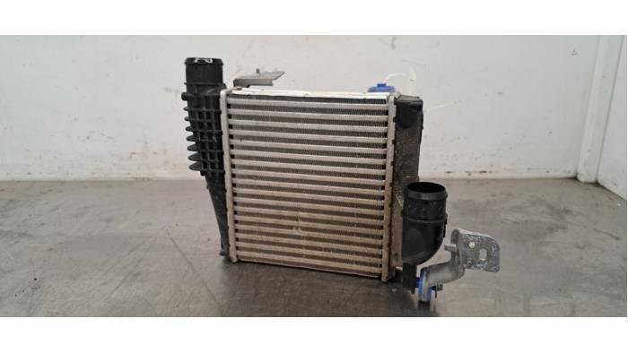 Usados Intercooler Peugeot 3008 II (M4/MC/MJ/MR) 1.2 12V PureTech Hybrid 48V Precio € 60,50 IVA incluido ofrecido por Autohandel Didier