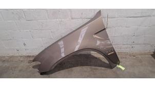 Usados Protector izquierda delante BMW X5 (E53) 3.0d 24V Precio € 193,60 IVA incluido ofrecido por Autohandel Didier