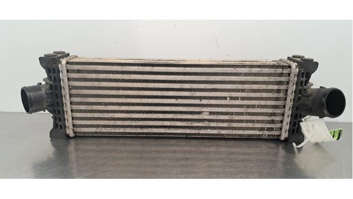 Usagé Intercooler Ford Transit 2.0 TDCi 16V Eco Blue 170 Prix € 133,10 Prix TTC proposé par Autohandel Didier