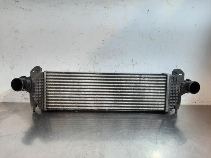 Usados Intercooler Iveco New Daily VI 3.0 Natural Power 35C/S14, 40/50/65/70C14 Precio € 199,65 IVA incluido ofrecido por Autohandel Didier