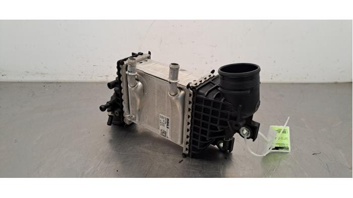 Usados Intercooler Volkswagen Transporter T6 2.0 TDI 150 Precio € 266,20 IVA incluido ofrecido por Autohandel Didier