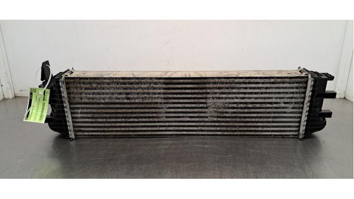Usagé Intercooler Mercedes Sprinter 3,5t (907.6/910.6) 311 CDI 2.1 D FWD Prix € 133,10 Prix TTC proposé par Autohandel Didier