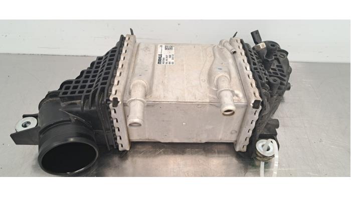 Usados Intercooler Volkswagen Transporter T6 2.0 TDI 150 Precio € 266,20 IVA incluido ofrecido por Autohandel Didier