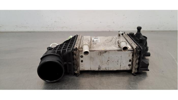 Usados Intercooler Volkswagen Transporter T6 2.0 TDI Precio € 266,20 IVA incluido ofrecido por Autohandel Didier