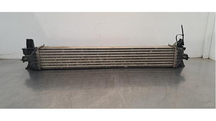 Usados Intercooler Opel Movano 2.2 D 165 Precio € 133,10 IVA incluido ofrecido por Autohandel Didier