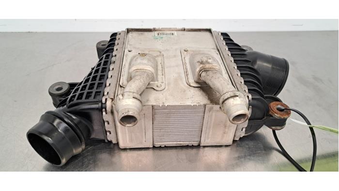 Usagé Intercooler Landrover Range Rover Velar (LY) 3.0 D300 AWD Prix € 229,90 Prix TTC proposé par Autohandel Didier