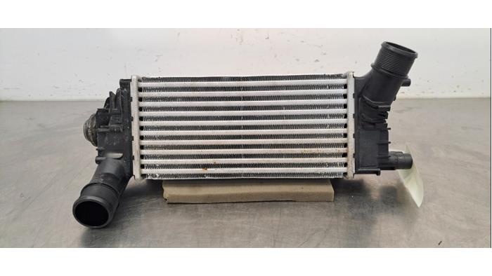 Used Intercooler Ford Puma 1.0 Ti-VCT EcoBoost mHEV 12V Price € 66,55 Inclusive VAT offered by Autohandel Didier