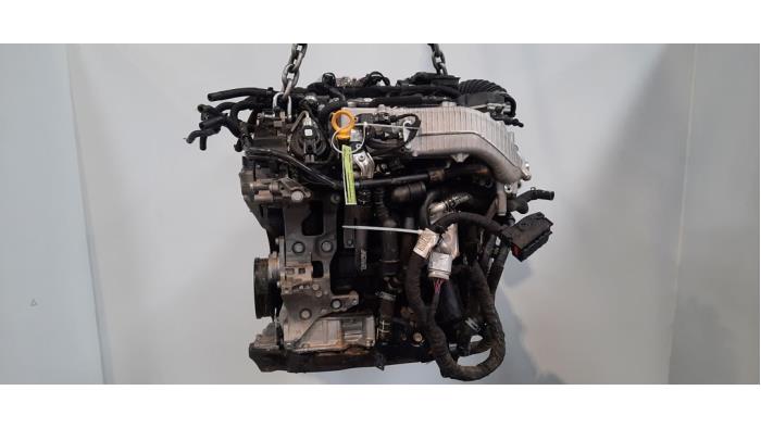 Used Engine Volkswagen Golf VIII (CD1) 2.0 TDI BlueMotion 16V Price € 4.779,50 Inclusive VAT offered by Autohandel Didier