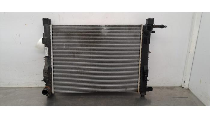 Usagé Radiateur Dacia Duster (SR) 1.0 TCE 100 Bi-Fuel, Eco-G 12V Prix € 96,80 Prix TTC proposé par Autohandel Didier