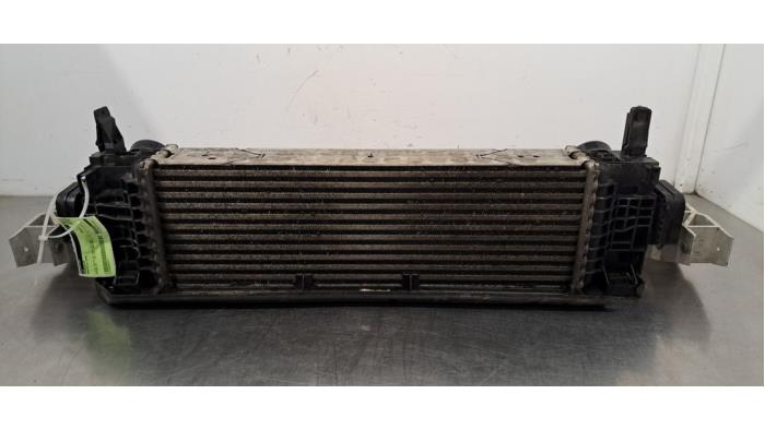 Used Intercooler BMW X3 (G01) xDrive 20d 2.0 TwinPower Turbo 16V Price € 199,65 Inclusive VAT offered by Autohandel Didier