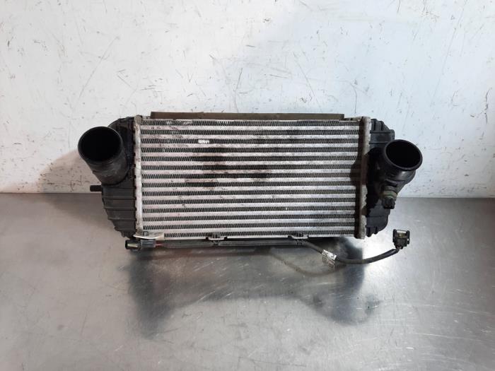 Used Intercooler Hyundai Tucson (TL) 2.0 CRDi 16V High Power 4WD Price € 332,75 Inclusive VAT offered by Autohandel Didier