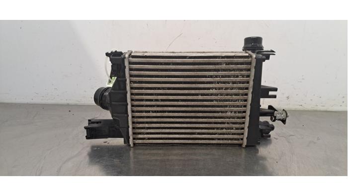 Usagé Intercooler Renault Express 1.3 TCE 100 16V Prix € 266,20 Prix TTC proposé par Autohandel Didier