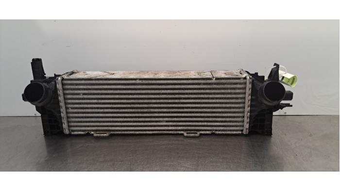 Usados Intercooler BMW X5 (G05) xDrive 25d 2.0 16V Precio € 199,65 IVA incluido ofrecido por Autohandel Didier