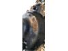 Främre differential från en Ford Ranger 2.0 EcoBlue 16V 4x4 2019