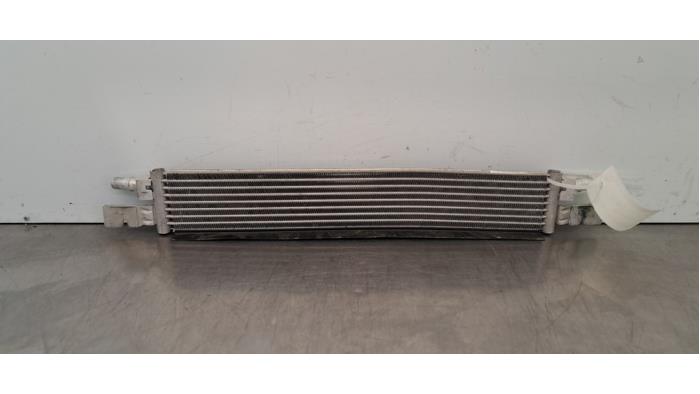 Gebrauchte Ölkühler BMW 3 serie Touring (G21) 318i 2.0 TwinPower Turbo 16V Preis € 102,85 Mit Mehrwertsteuer angeboten von Autohandel Didier